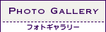 PHOTO GALLERY