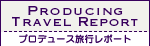 PRODUCING TRAVEL REPORT