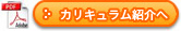 カリキュラム紹介へ