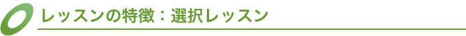 レッスンの特徴：選択レッスン