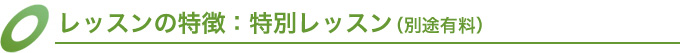 レッスンの特徴：特別レッスン