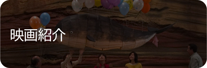 映画紹介